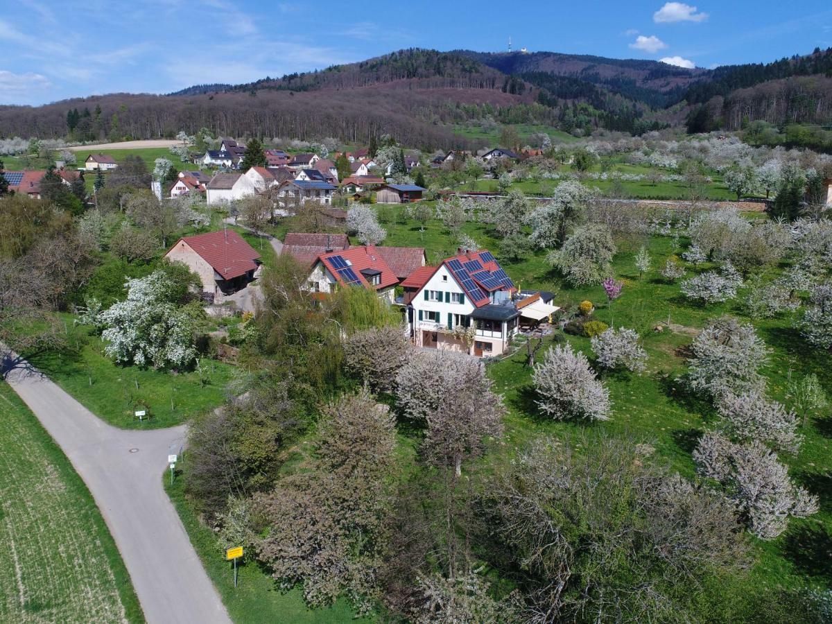 Apartamento Haus Am Blauenbach Schliengen Exterior foto